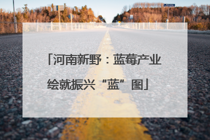 河南新野：蓝莓产业绘就振兴“蓝”图