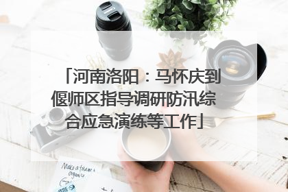 河南洛阳：马怀庆到偃师区指导调研防汛综合应急演练等工作