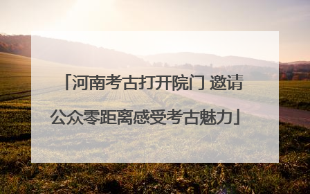 河南考古打开院门 邀请公众零距离感受考古魅力
