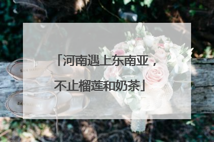 河南遇上东南亚，不止榴莲和奶茶