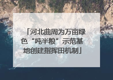河北曲周为万亩绿色“吨半粮”示范基地创建指挥田机制