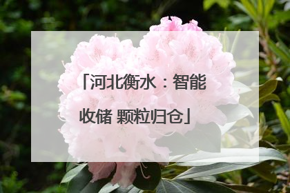 河北衡水：智能收储 颗粒归仓