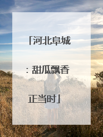 河北阜城：甜瓜飘香正当时