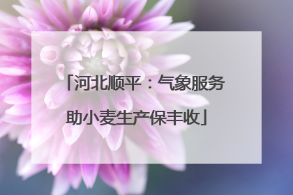 河北顺平：气象服务助小麦生产保丰收