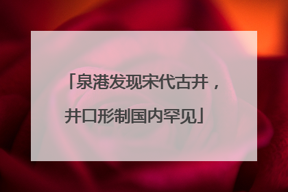 泉港发现宋代古井，井口形制国内罕见