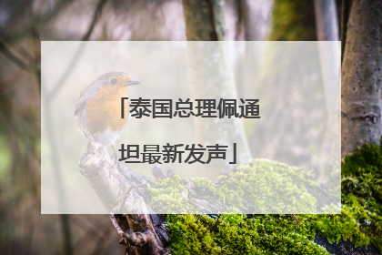 泰国总理佩通坦最新发声