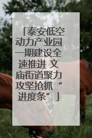 泰安低空动力产业园一期建设全速推进 文庙街道聚力攻坚抢抓“进度条”