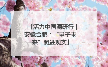 活力中国调研行｜安徽合肥：“量子未来”照进现实