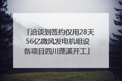 洽谈到签约仅用28天 56亿微风发电机组设备项目四川蓬溪开工