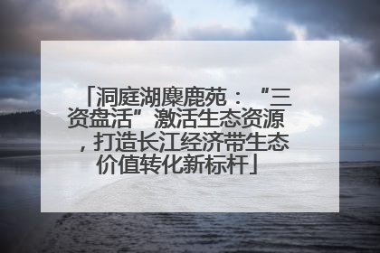 洞庭湖麋鹿苑：“三资盘活”激活生态资源，打造长江经济带生态价值转化新标杆