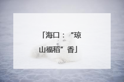 海口：“琼山福稻”香