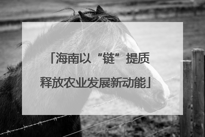 海南以“链”提质 释放农业发展新动能