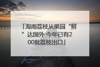 海南荔枝从果园“鲜”达国外 今年已有200批荔枝出口