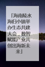 海南陵水海归小镇举办生态共建大会，数智赋能产业共创出海新未来