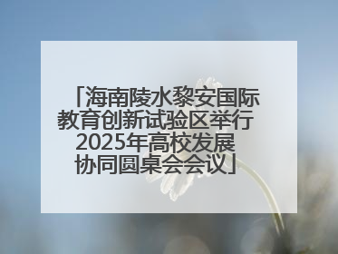 海南陵水黎安国际教育创新试验区举行2025年高校发展协同圆桌会会议