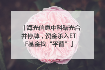 海光信息中科曙光合并停牌，资金杀入ETF基金找“平替”