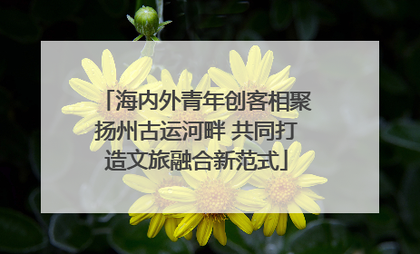 海内外青年创客相聚扬州古运河畔 共同打造文旅融合新范式