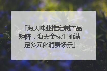 海天味业推定制产品矩阵，海天金标生抽满足多元化消费场景