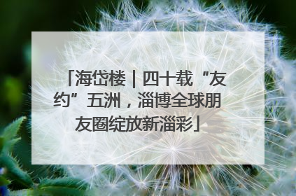 海岱楼｜四十载“友约”五洲，淄博全球朋友圈绽放新淄彩