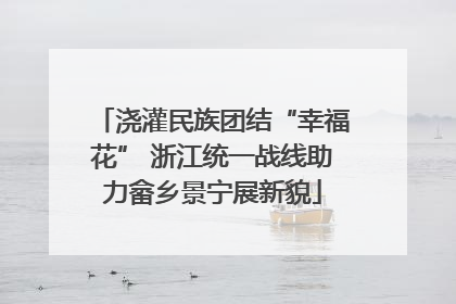 浇灌民族团结“幸福花” 浙江统一战线助力畲乡景宁展新貌
