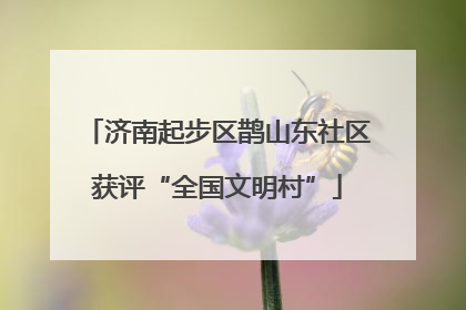 济南起步区鹊山东社区获评“全国文明村”