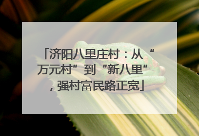 济阳八里庄村：从“万元村”到“新八里”，强村富民路正宽