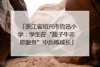 浙江省绍兴市鲁迅小学：学生在“孺子牛志愿服务”中历练成长