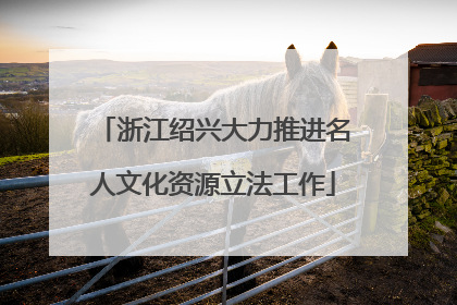 浙江绍兴大力推进名人文化资源立法工作