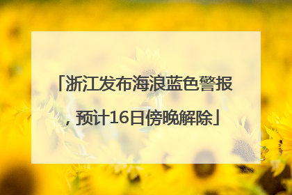 浙江发布海浪蓝色警报，预计16日傍晚解除