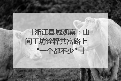 浙江县域观察：山间工坊诠释共富路上“一个都不少”