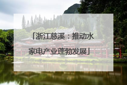 浙江慈溪：推动水家电产业蓬勃发展