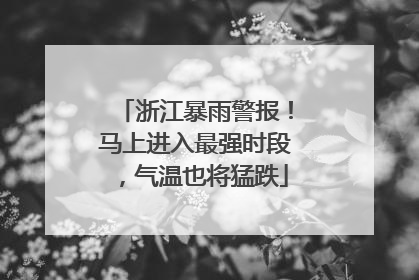 浙江暴雨警报！马上进入最强时段，气温也将猛跌