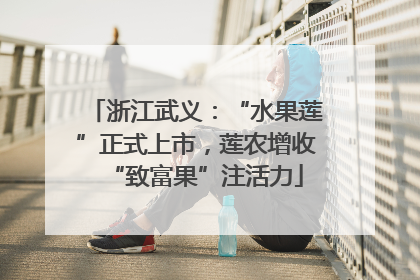 浙江武义：“水果莲”正式上市，莲农增收“致富果”注活力
