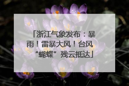 浙江气象发布：暴雨！雷暴大风！台风“蝴蝶”残云抵达