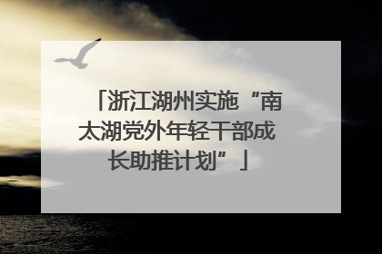 浙江湖州实施“南太湖党外年轻干部成长助推计划”