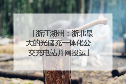 浙江湖州：浙北最大的光储充一体化公交充电站并网投运