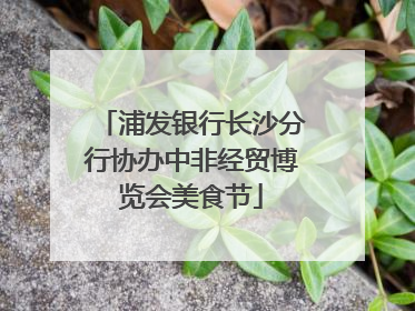 浦发银行长沙分行协办中非经贸博览会美食节