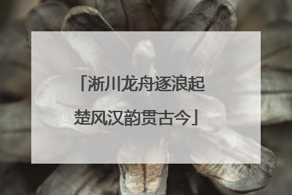 淅川龙舟逐浪起 楚风汉韵贯古今