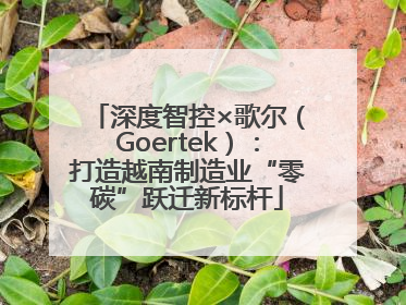 深度智控×歌尔（Goertek）：打造越南制造业“零碳”跃迁新标杆