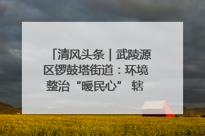 清风头条｜武陵源区锣鼓塔街道：环境整治“暖民心” 辖区面貌“靓”起来