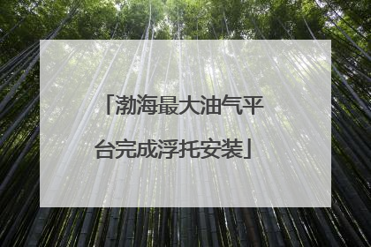 渤海最大油气平台完成浮托安装