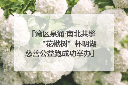 湾区泉涌·南北共擎——“花楸树”杯明湖慈善公益跑成功举办