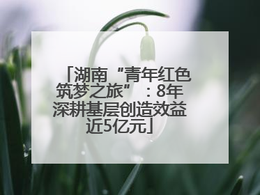 湖南“青年红色筑梦之旅”：8年深耕基层创造效益近5亿元