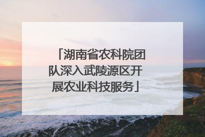 湖南省农科院团队深入武陵源区开展农业科技服务