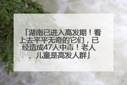 湖南已进入高发期！看上去平平无奇的它们，已经造成47人中毒！老人、儿童是高发人群