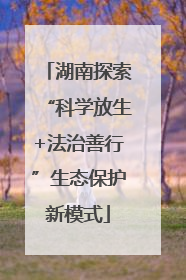 湖南探索“科学放生+法治善行”生态保护新模式