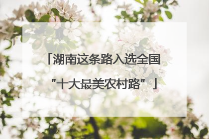 湖南这条路入选全国“十大最美农村路”