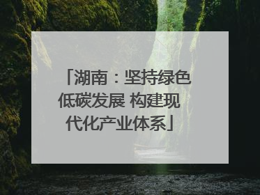 湖南：坚持绿色低碳发展 构建现代化产业体系