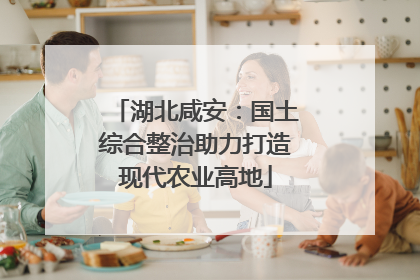 湖北咸安：国土综合整治助力打造现代农业高地