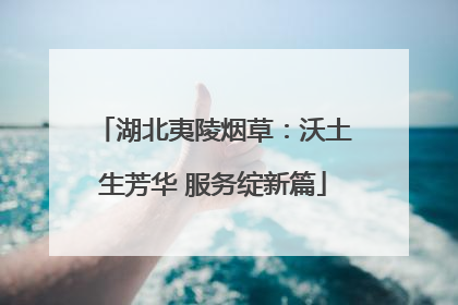 湖北夷陵烟草：沃土生芳华 服务绽新篇